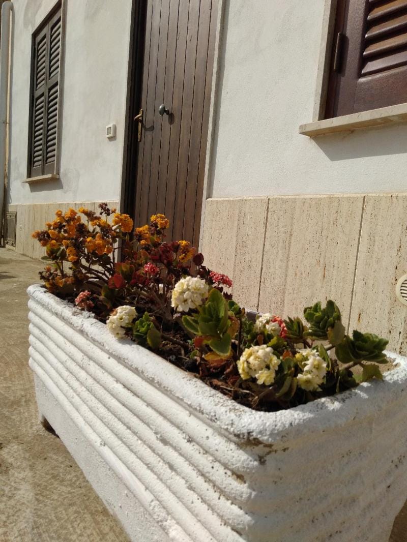 Casa Maria Bartolomeo Vacation rental in Marsala