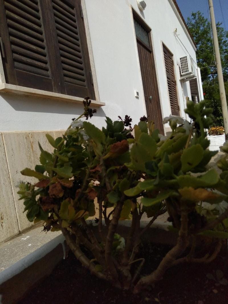 Casa Maria Bartolomeo Vacation rental in Marsala