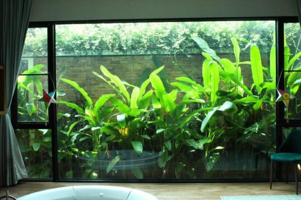 Pool Suite,  Chiang Mai, lModern Newly Built Apartment in Thailand