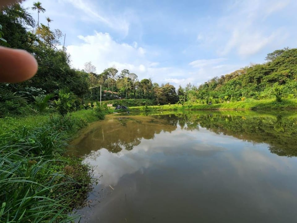 Green Turfs Farmstay- A cozy 2 bedroom cottage Vacation rental in Kerala