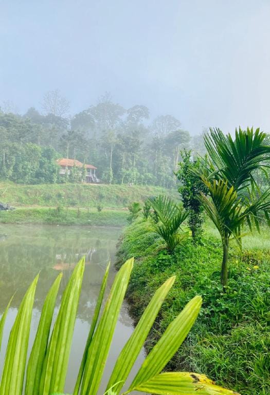 Green Turfs Farmstay- A cozy 2 bedroom cottage Vacation rental in Kerala