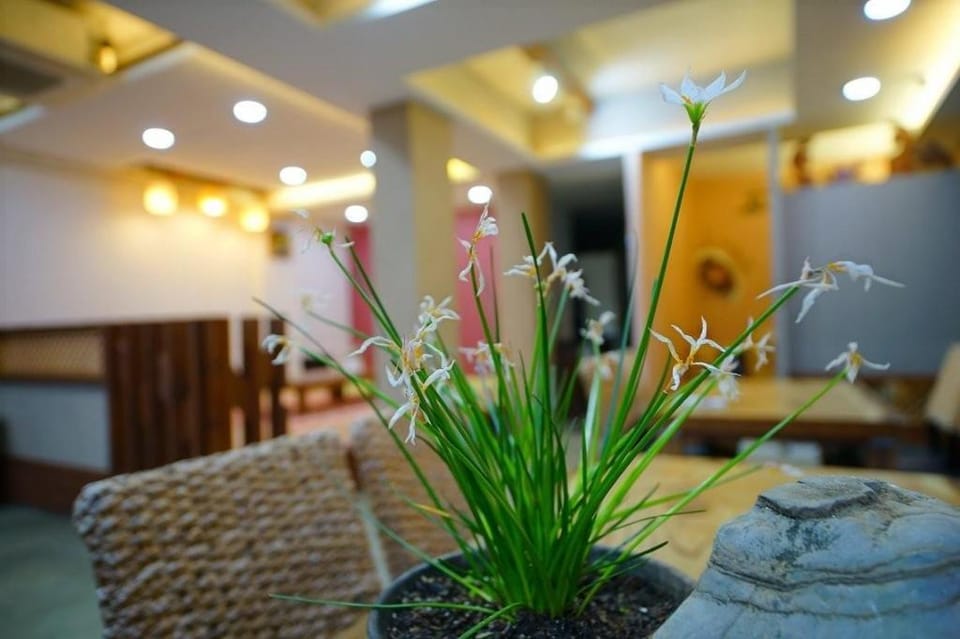 Jeonju Hanok Maeul Pungkyeong Guest and Hotel Bed and Breakfast in South Korea