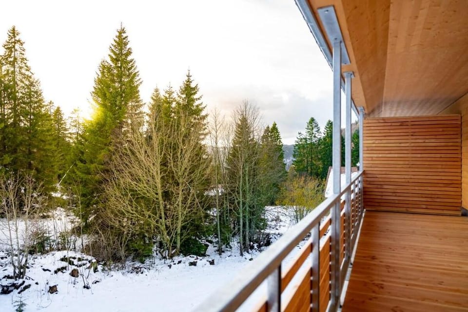 Ferienwohnung Feldberg Schwarzwald Apartment in Baden-Württemberg