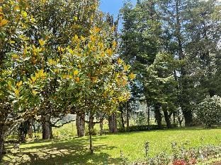 Netherleigh Bungalow Vacation rental in Nuwara Eliya