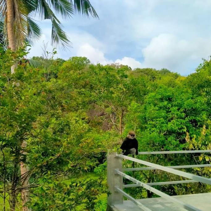 The Monkey Cottage Vacation rental in Southern Province