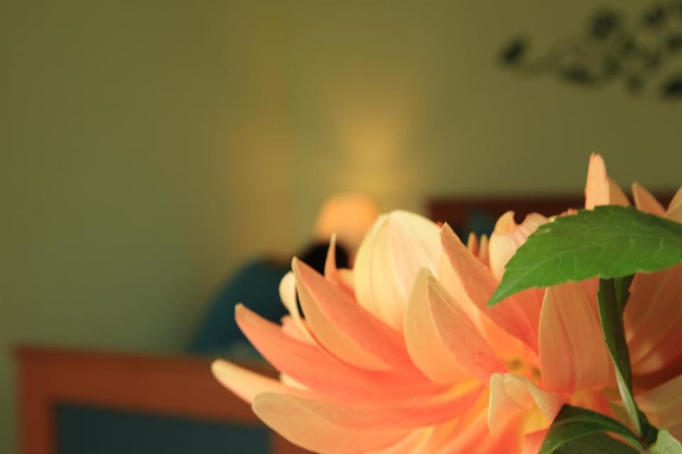 Pension Villa Irene Bed and Breakfast in Sächsische Schweiz-Osterzgebirge