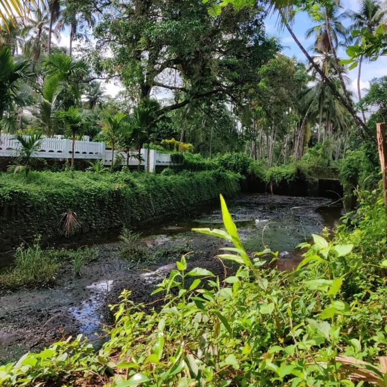 Unwind in Nature @ The Moonlit Stream - An ecostay Vacation rental in Goa, India