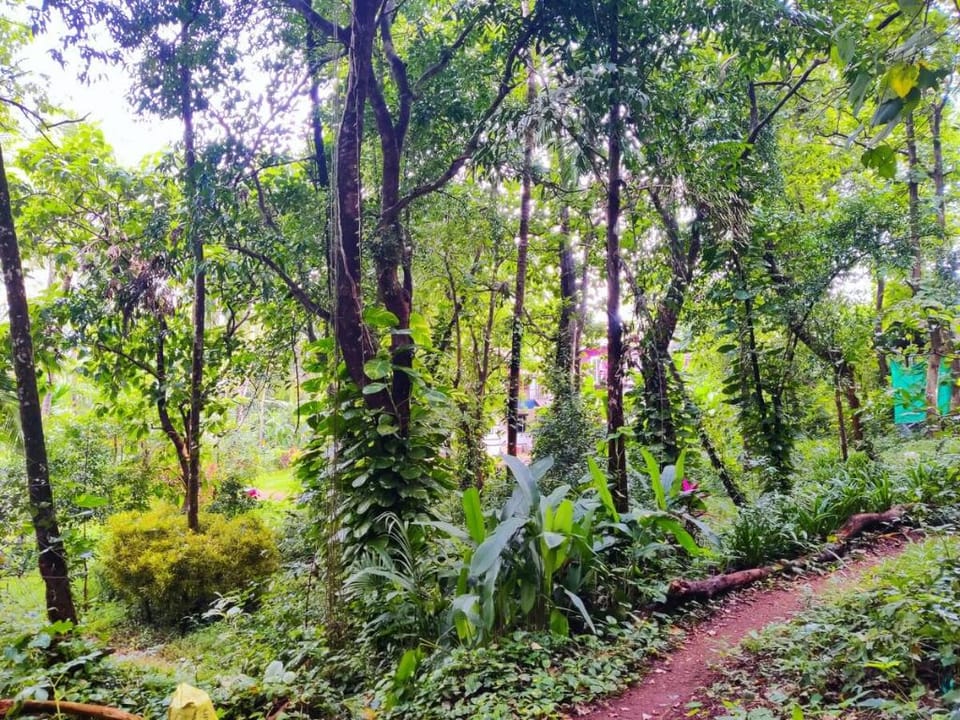 Unwind in Nature @ The Moonlit Stream - An ecostay Vacation rental in Goa, India