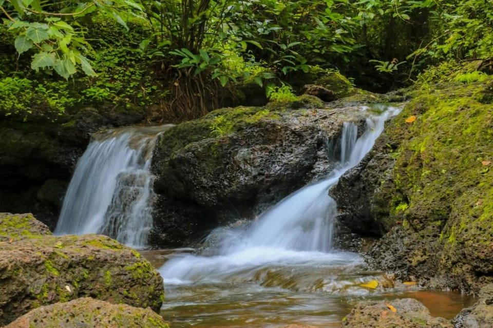 Unwind in Nature @ The Moonlit Stream - An ecostay Vacation rental in Goa, India
