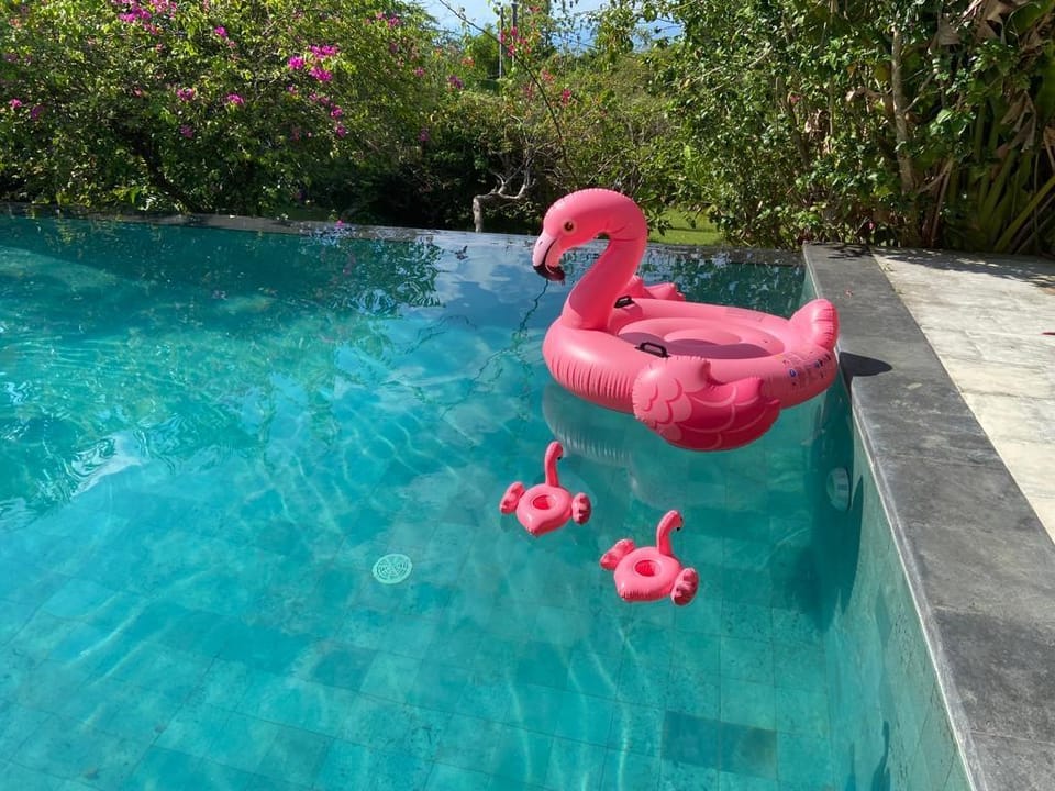  New Luxury 3 Bed Villa Pool & Magical Ocean Views Villa in Bali