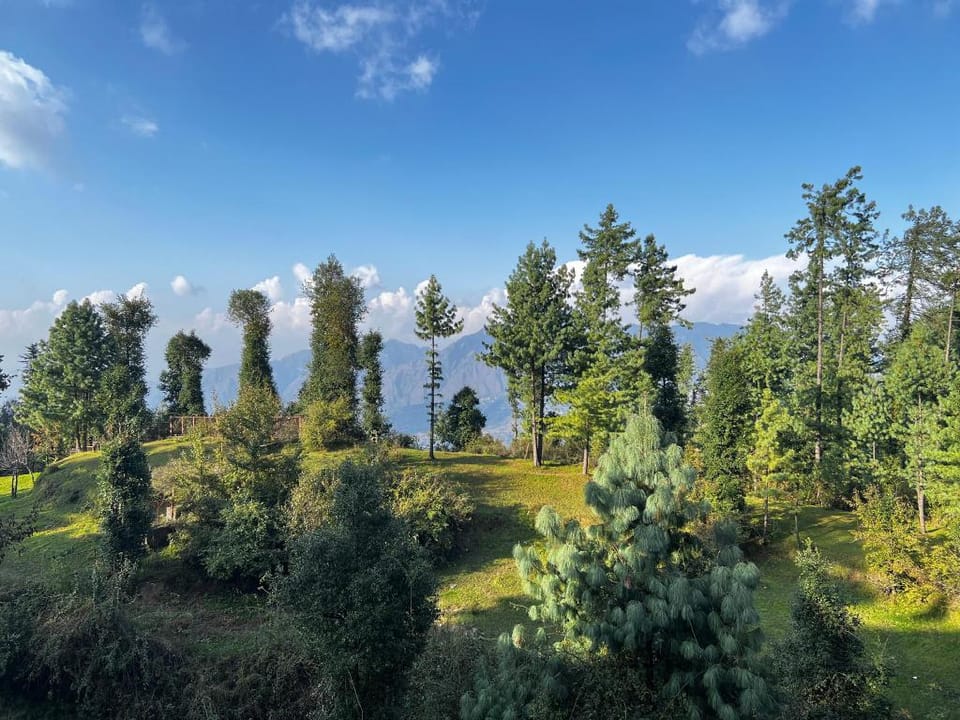Amazing Villa in Mashobra Villa in Himachal Pradesh