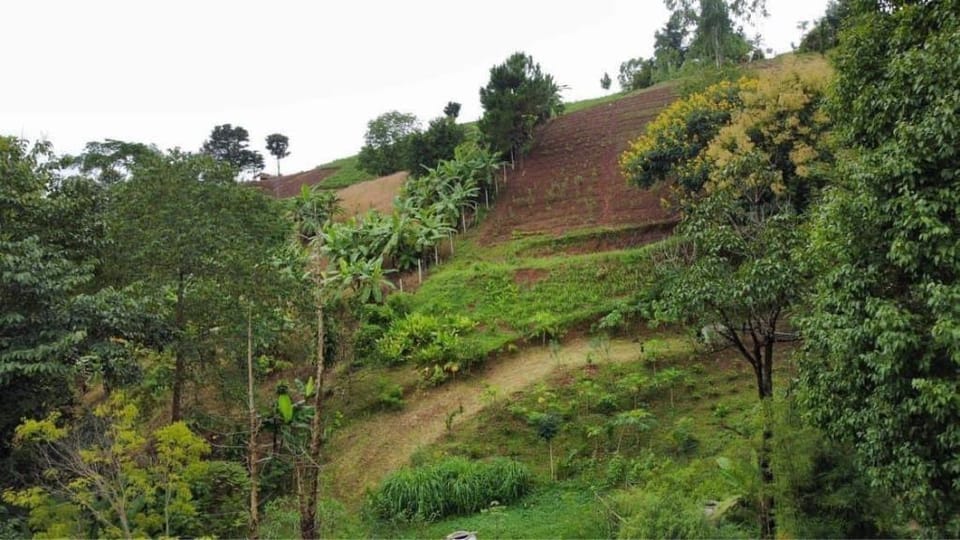 Khaokho Pimphupha Farmstay - Phuploy Hut ภูพลอย Vacation rental in Laos