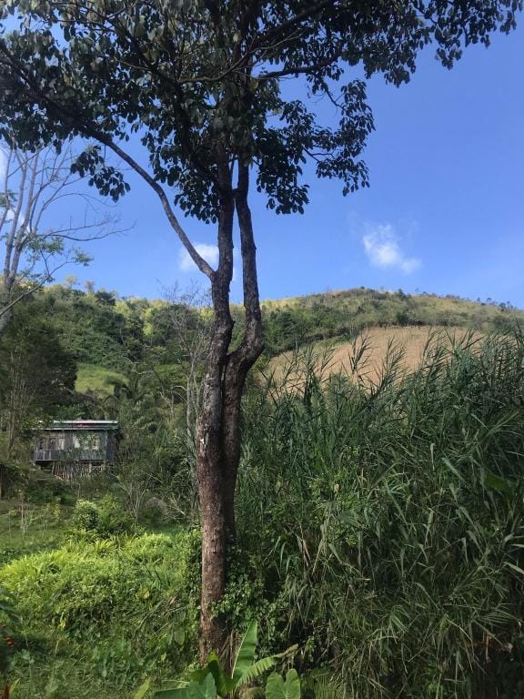 Khaokho Pimphupha Farmstay - Phuploy Hut ภูพลอย Vacation rental in Laos