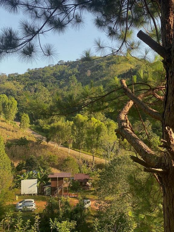 Khaokho Pimphupha Farmstay - Phupha Hut Vacation rental in Laos