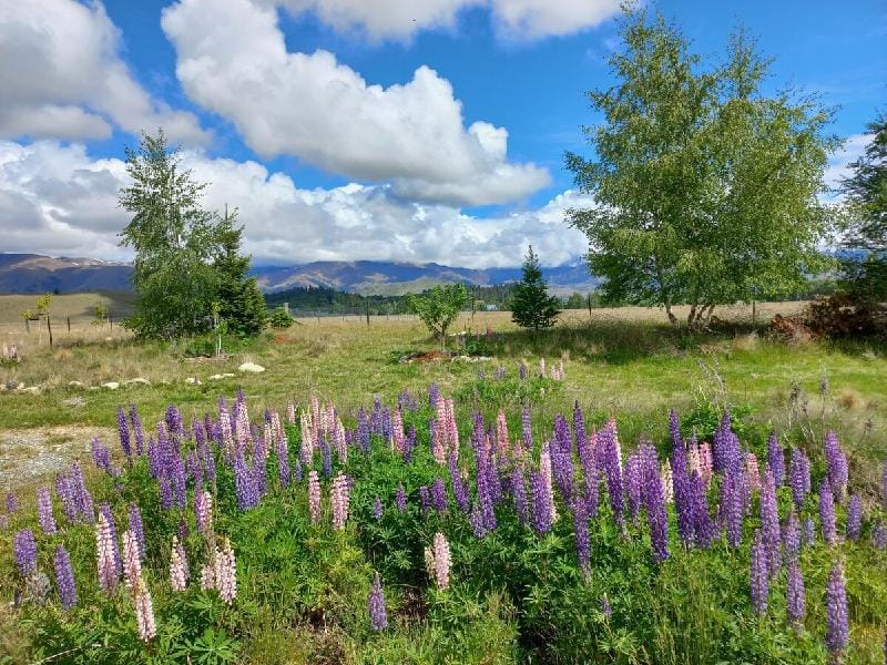Twizel retreats — GH Cottage Vacation rental in Twizel