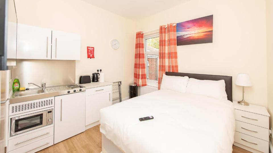Luxury Shirley Apartments Apartment in Southampton