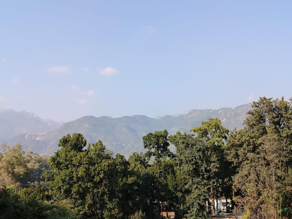 Lemongrass By The Paprika Apartment in Dehradun