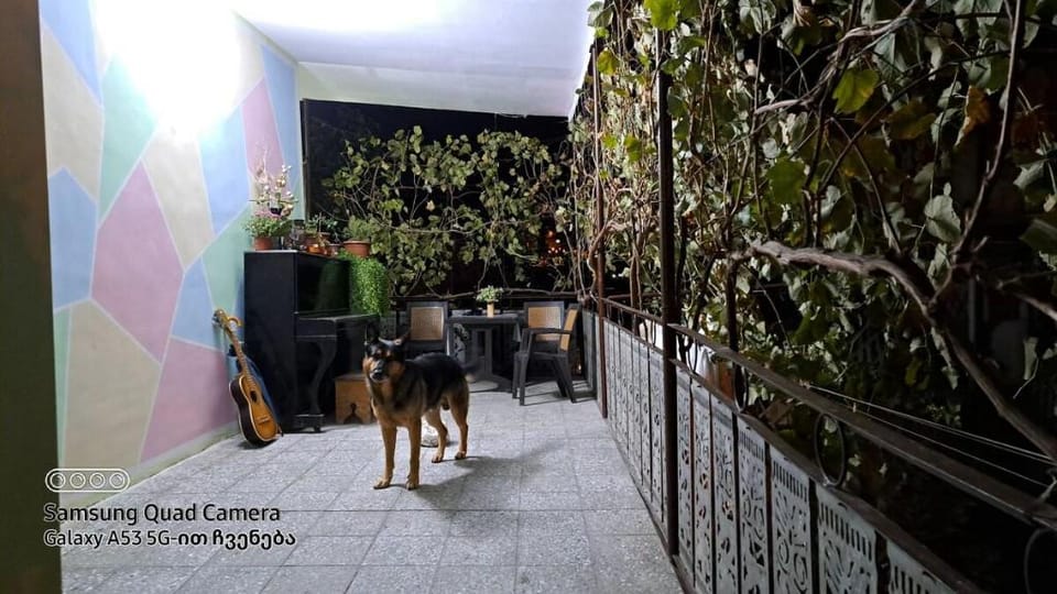 Colorful hostel located at the old city downtown Vacation rental in Tbilisi, Georgia