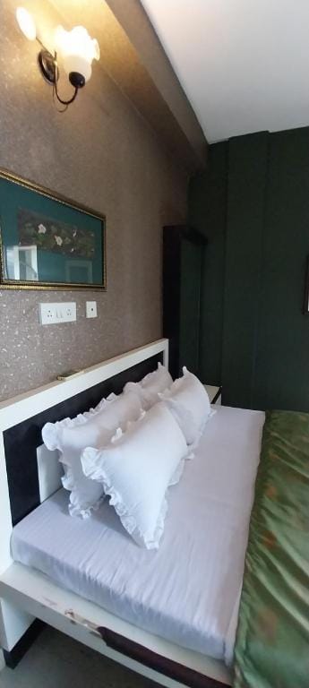 PRANIK 3 BHK NEAR RUBY HOSPITAL Apartment in Kolkata