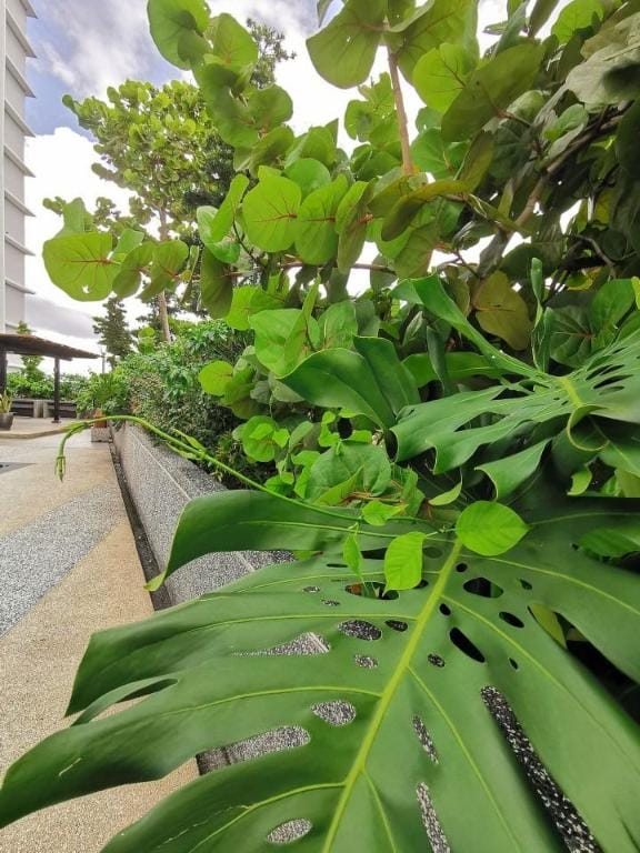 B2013The Platino Netflix 3Br Paradigm Mall By STAY Apartment in Johor Bahru