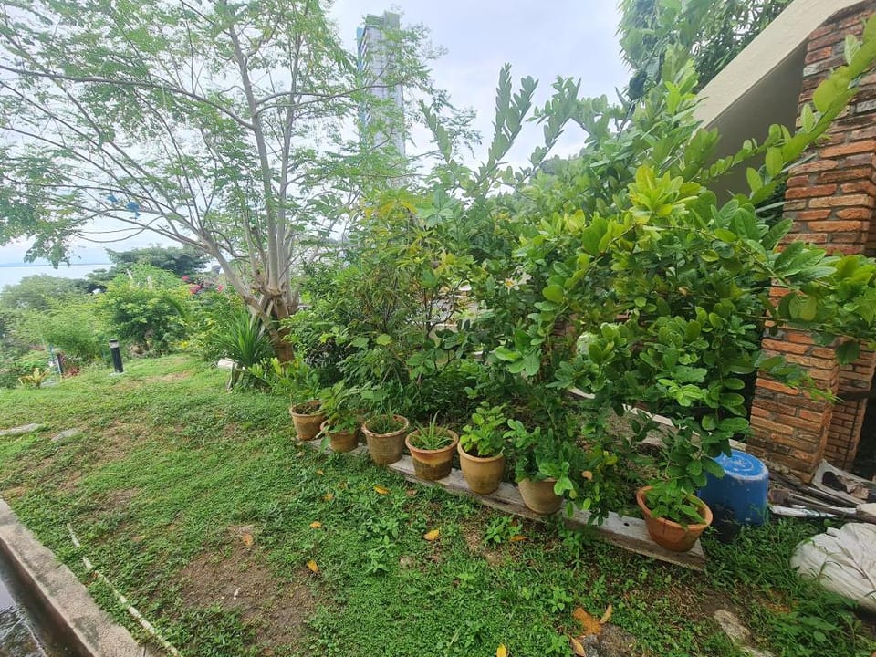 The Mansion Villa in Batu Ferringhi, Penang, Malaysia