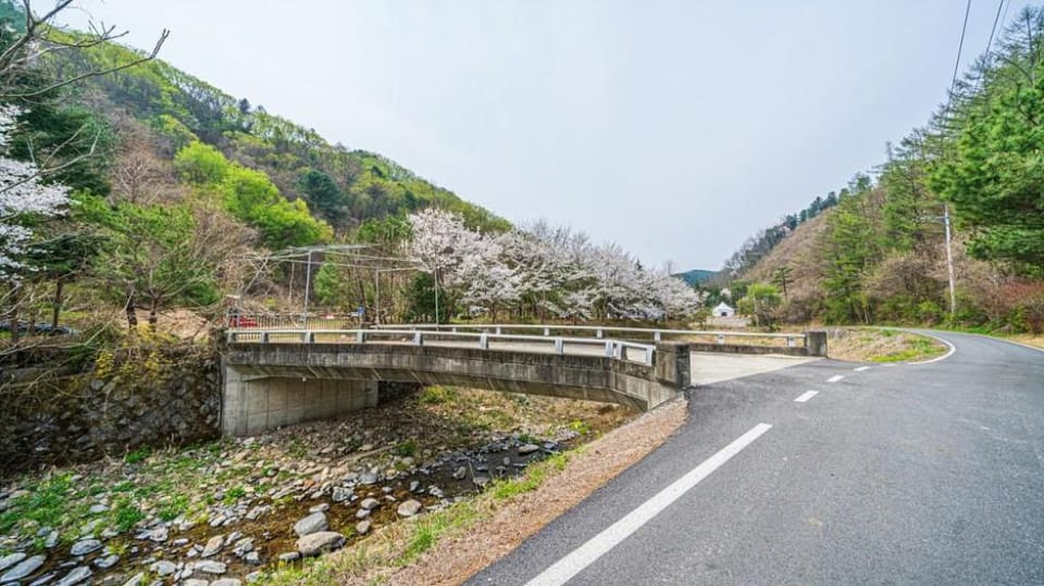 WHITE HOUSE IN THE FOREST Bed and Breakfast in Gyeonggi-do