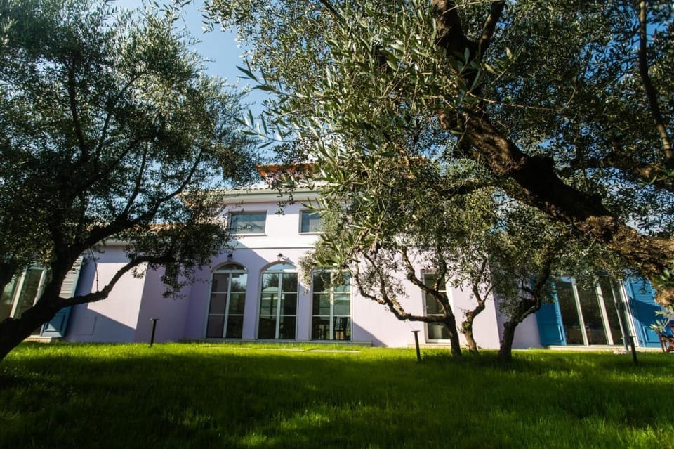 Aneli Villas - Villa Alexandra Apartment in Zakynthos, Greece