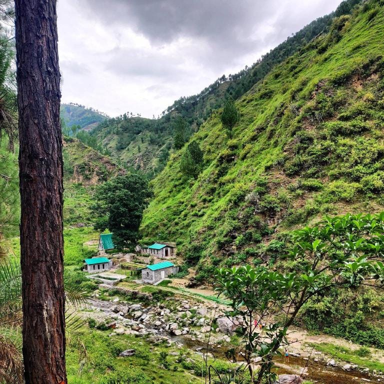 Resort Blue lotus Villa in Uttarakhand