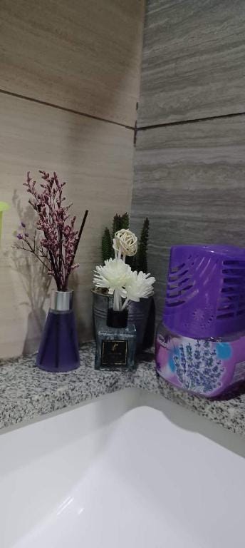 Cozy Studio Near Sm Baguio Apartment in Baguio