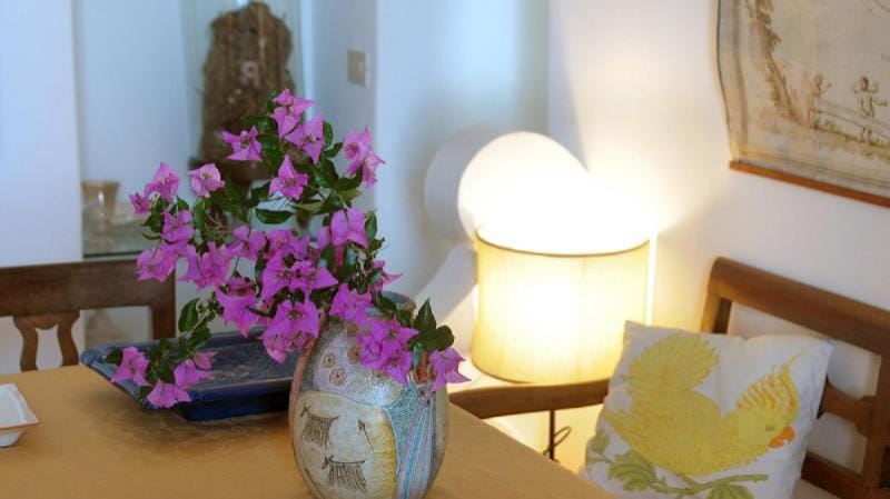 Casa Maria 6+2 in Positano Apartment in Positano