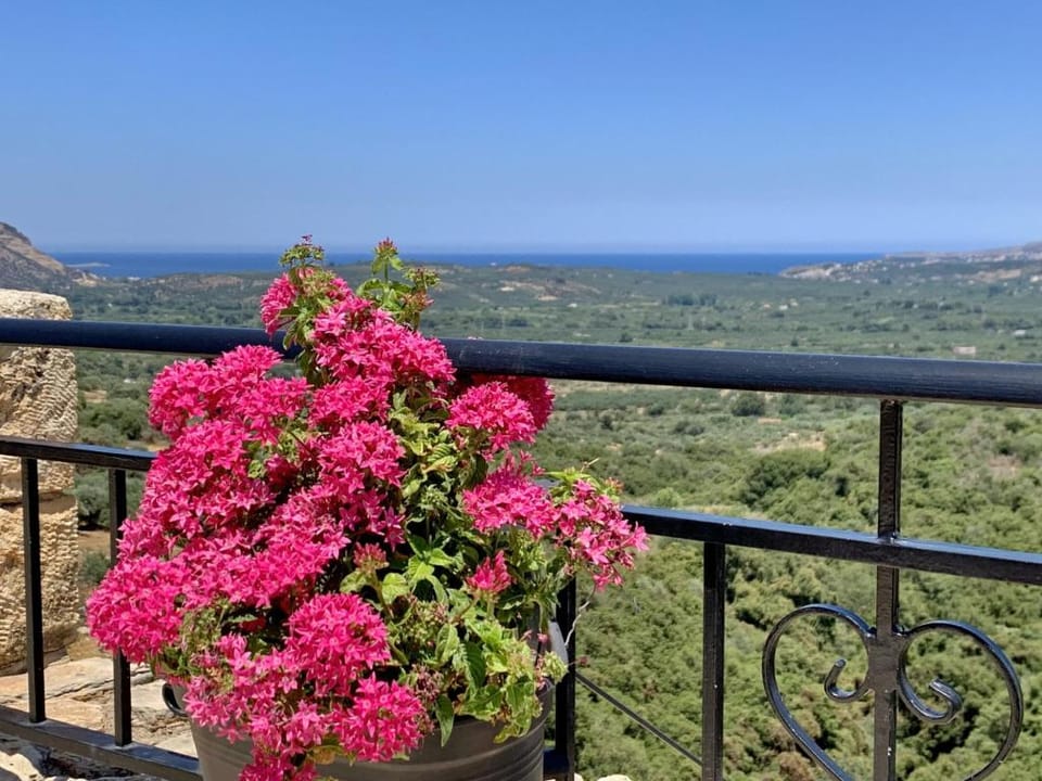 Villa Vangelis in Stylos Apartment in Crete