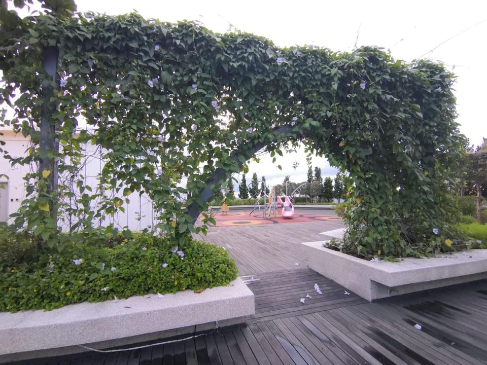 SUTERA AVENUE 2BR OPPOSITE KK CT IMAGO 5px 【43】 Apartment in Kota Kinabalu