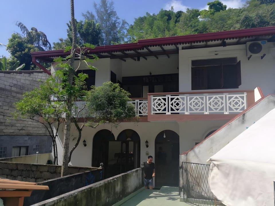 Jungle City Hostel Hostel in Galle