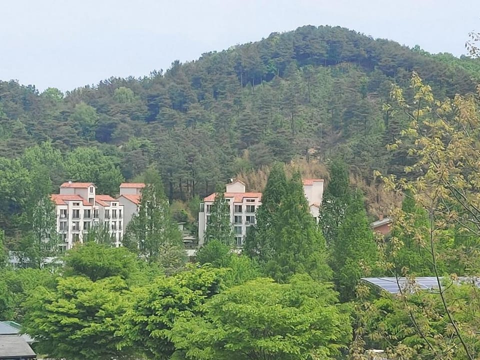 Sejong Gamseong House Hotel in South Korea