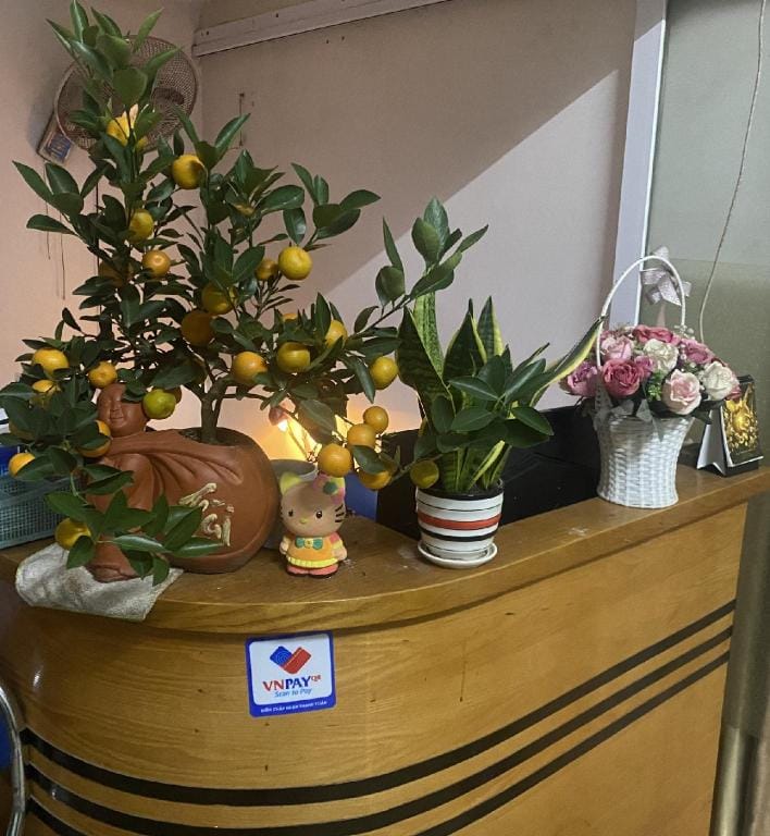 Nam Cường Motel - Phòng đơn có cửa sổ thoáng mát khép kín - Thang máy Bed and Breakfast in Hanoi