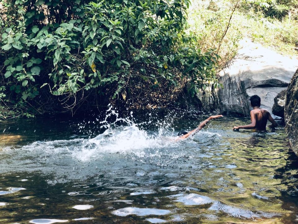 Riverwood resort vythiri Villa in Kerala