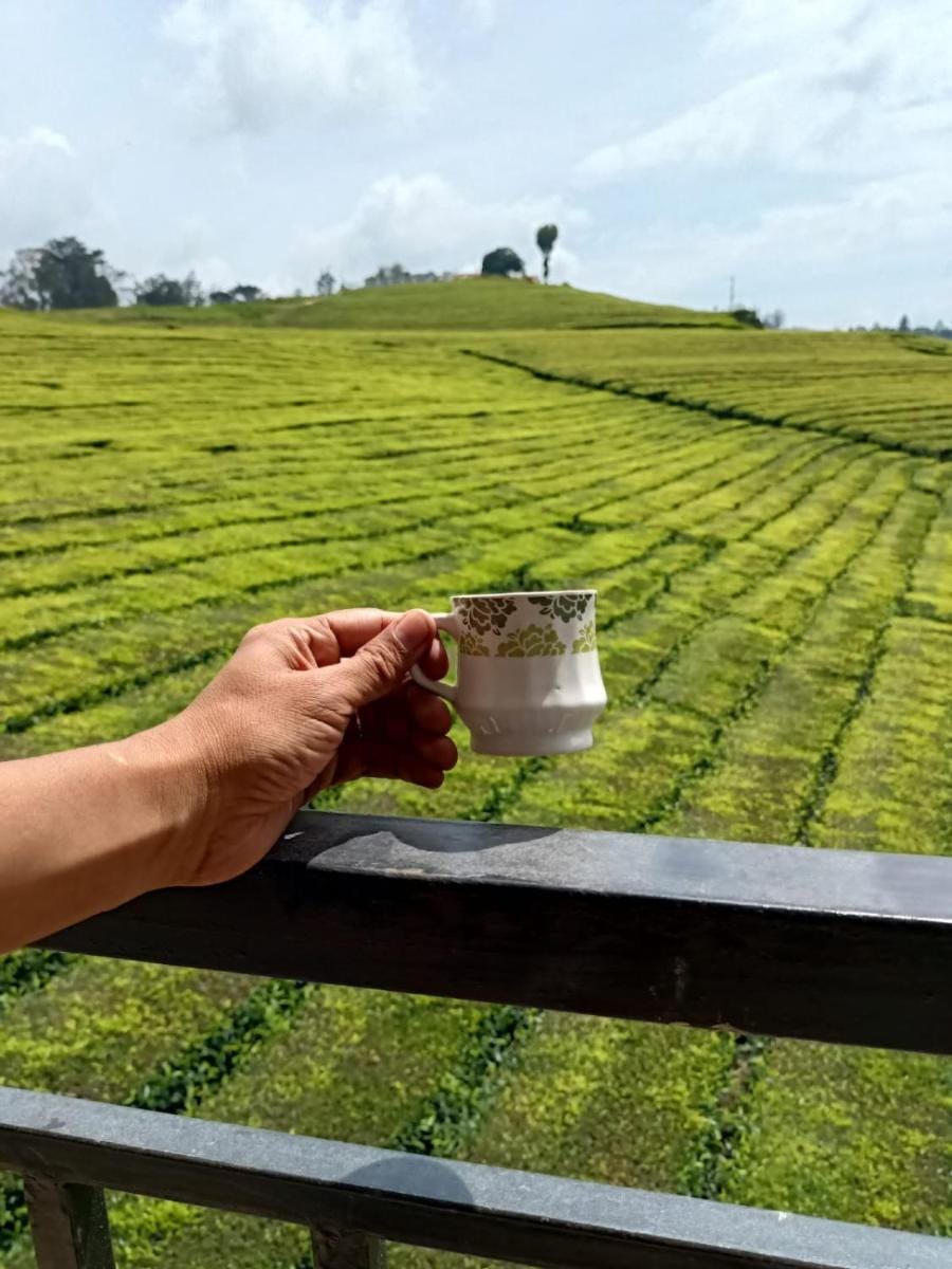 Tea Estate view stay Vacation rental in Ooty