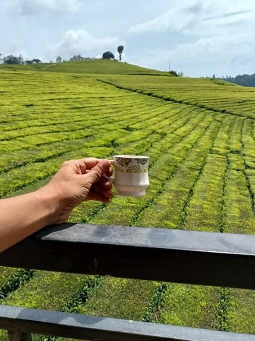 Tea Estate view stay Vacation rental in Ooty