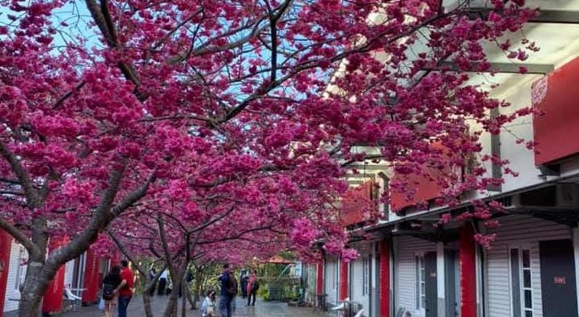 Miaoli Sanyi Shantongyazhu Homestay Bed and Breakfast in Taiwan, Province of China