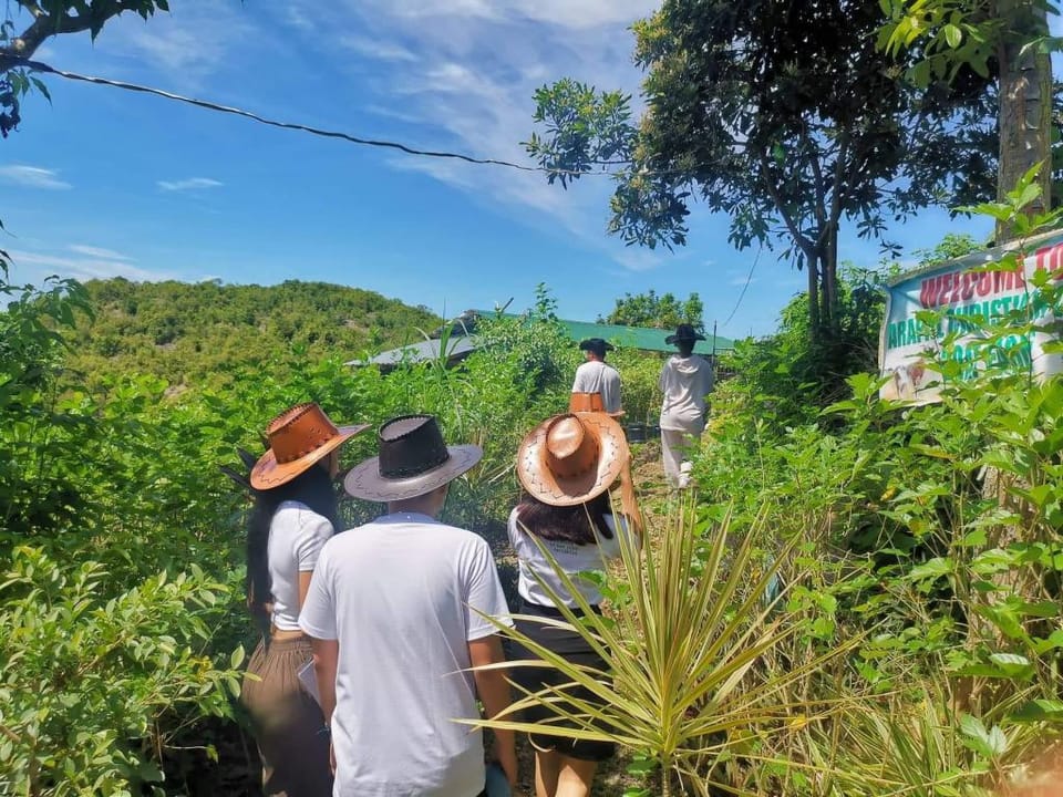 Guava Room-Arapal Nature Retreat (ANR) Co. Vacation rental in Central Visayas
