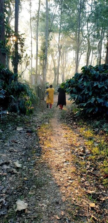 greenacres homestay Vacation rental in Kerala