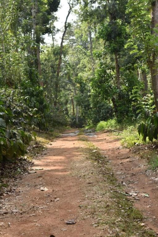 greenacres homestay Vacation rental in Kerala
