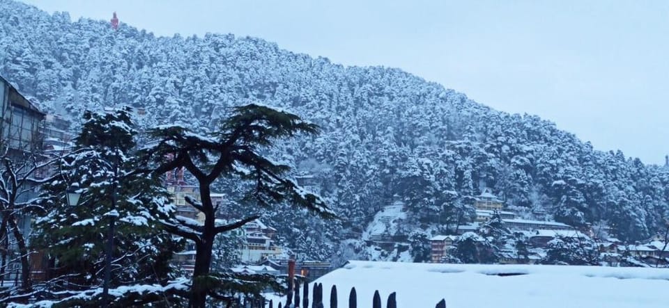 Sunbeam luxurious home Vacation rental in Shimla