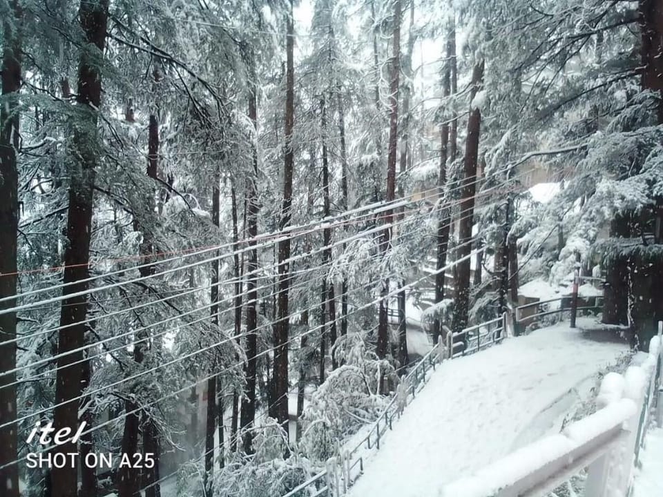 cedarwood villa 3bhk duplex luxurious house Vacation rental in Shimla