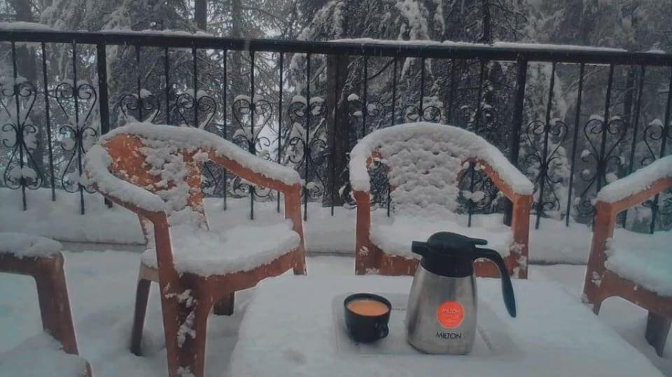 cedarwood villa 3bhk duplex luxurious house Vacation rental in Shimla