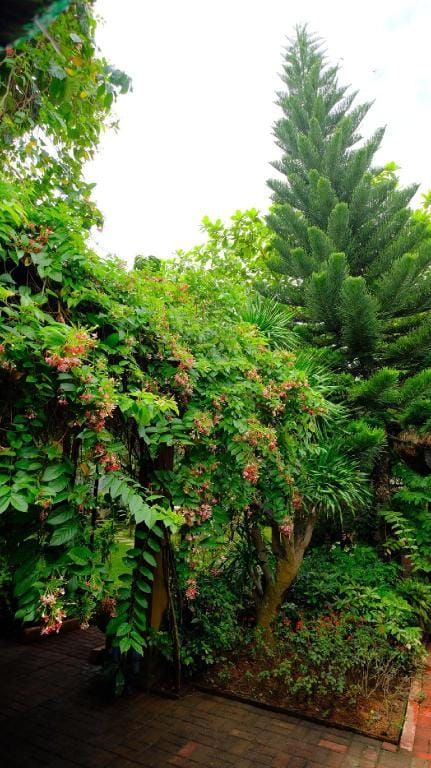 Private Garden Villas with Pool near Metro Manila Villa in Calabarzon