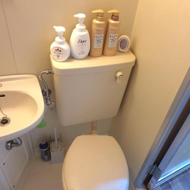 Tokyo Hale  Apartment in Shibuya