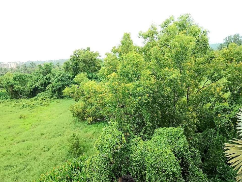 REUINON  VILLA IN ARPORA 5MINS TO BAGA BEACH Villa in Goa, India