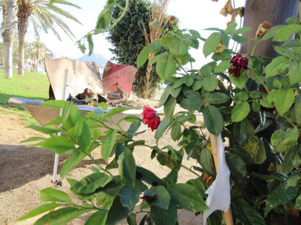 Del Parque Flats The Jewel of Malaga Vacation rental in Malaga