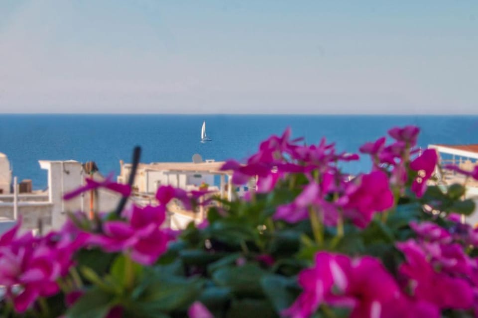 TD Casa Reina in the Historic Center with Terrace Apartment in Polignano a Mare
